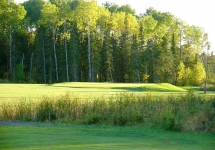 Blue-Course-#2