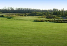 Blue-Course-#8